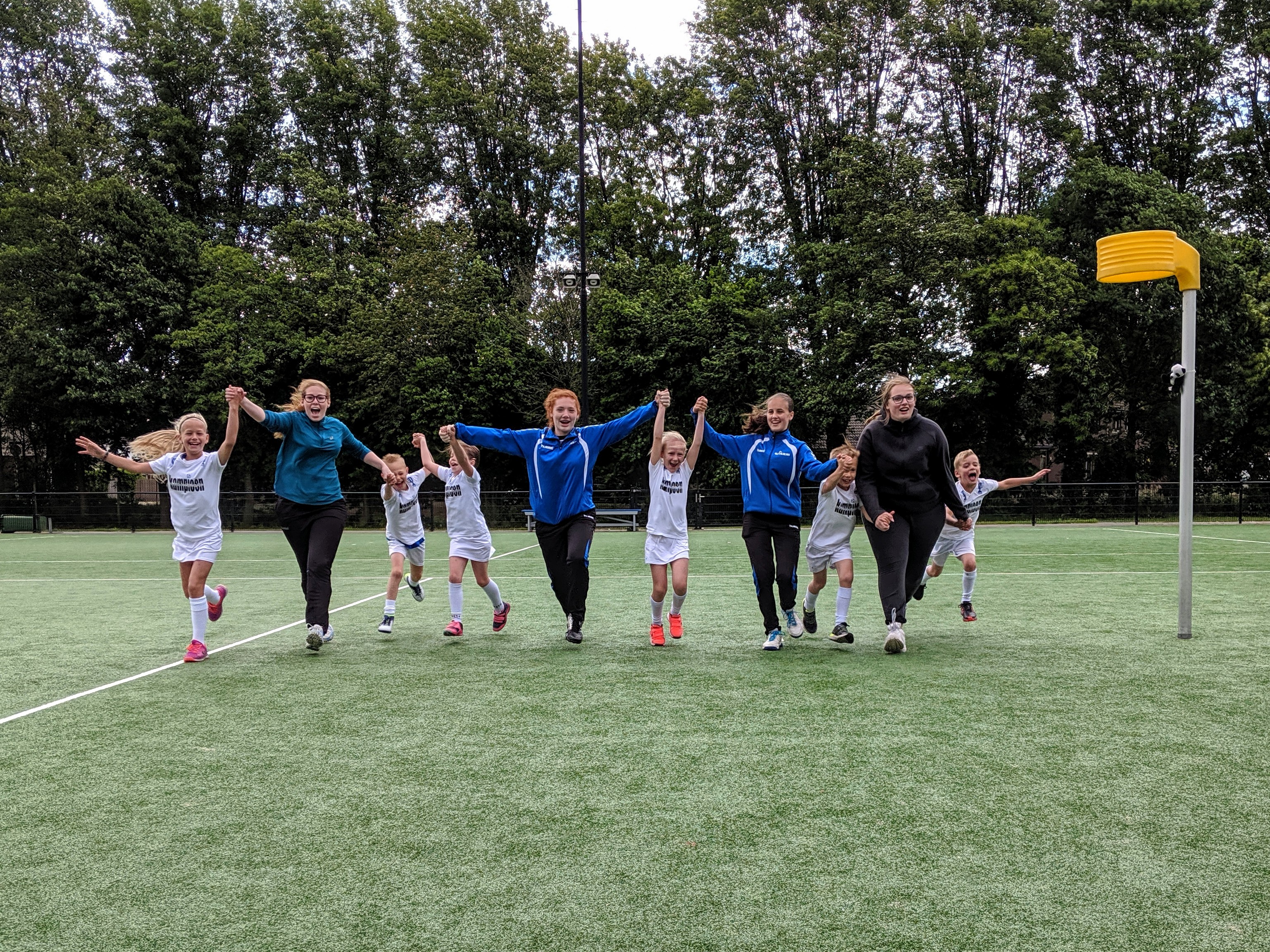 F1 kampioen 2019 2.jpg